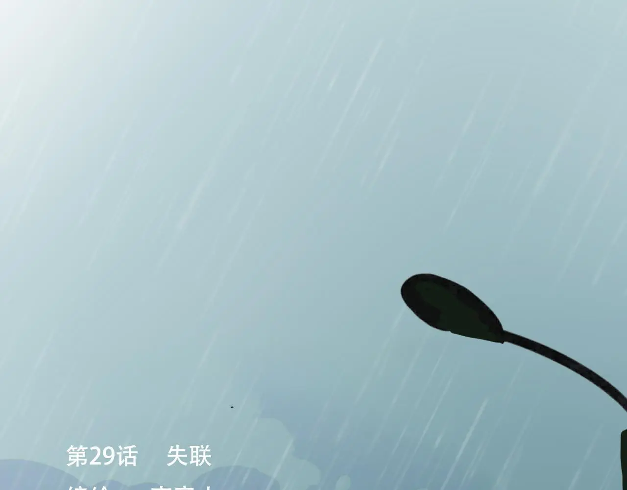 29  失联29