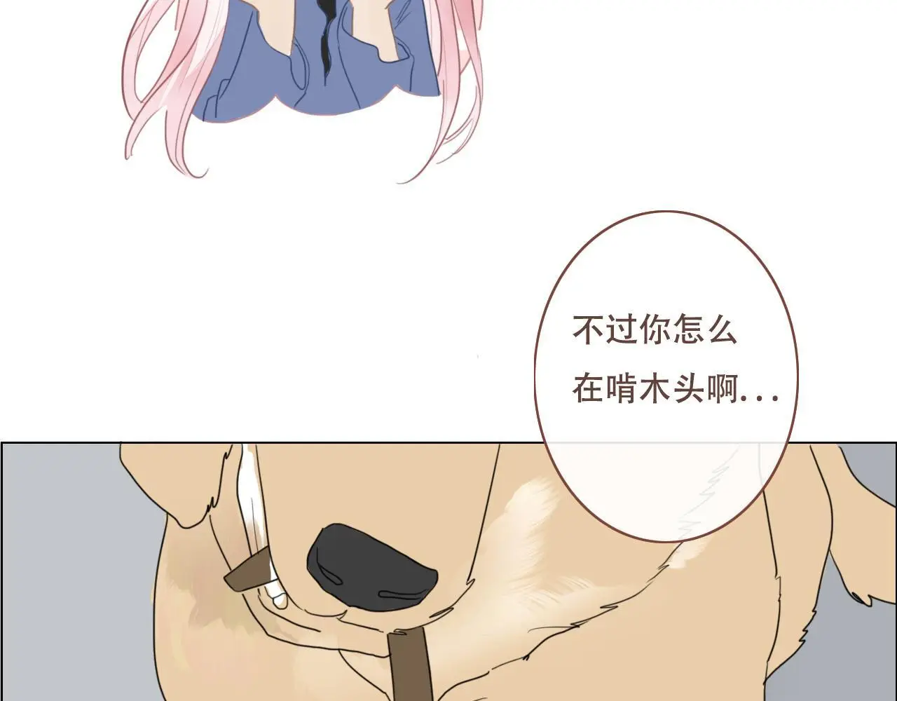 27话  新朋友53