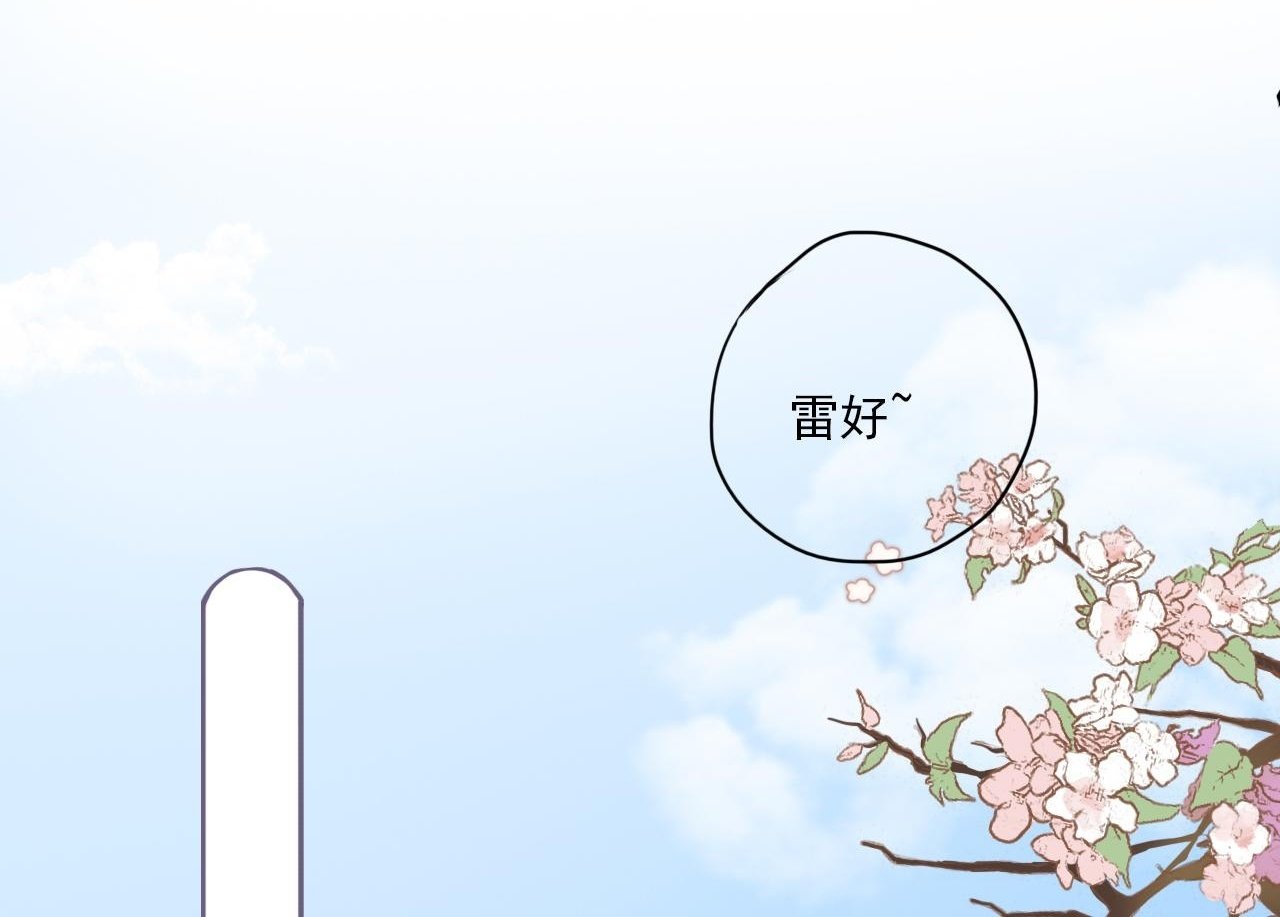 第二话  猫出没0