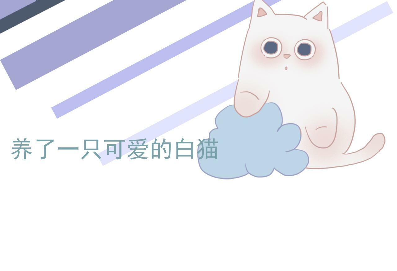 人物档案12