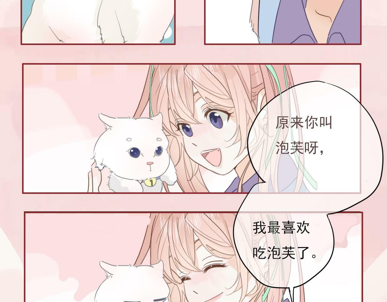 第八话 地下吸猫现场14