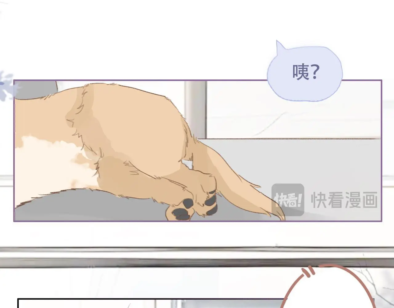 29  失联10