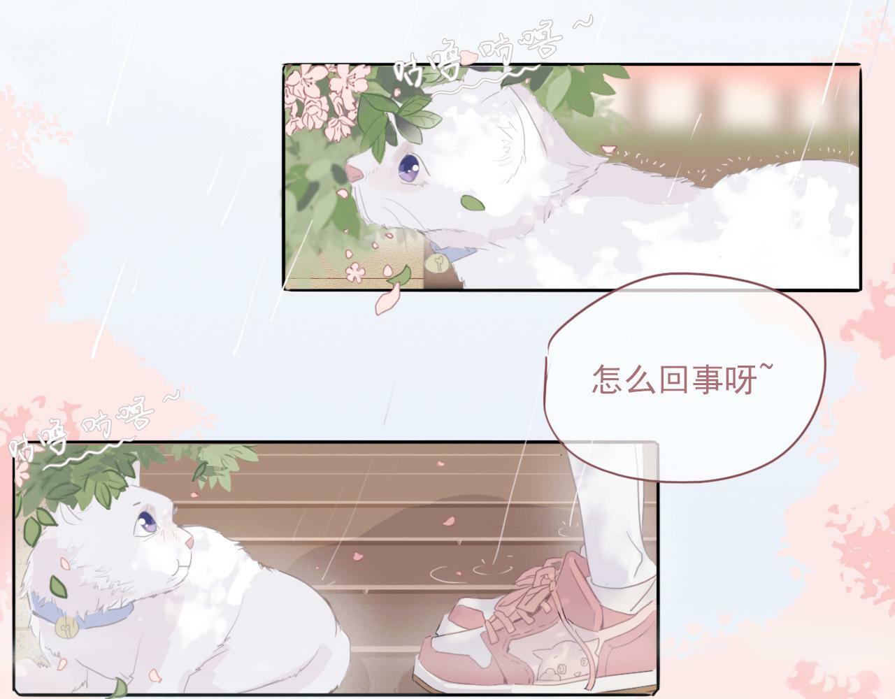 序幕5