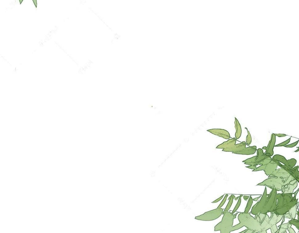 第六话 森林海底1