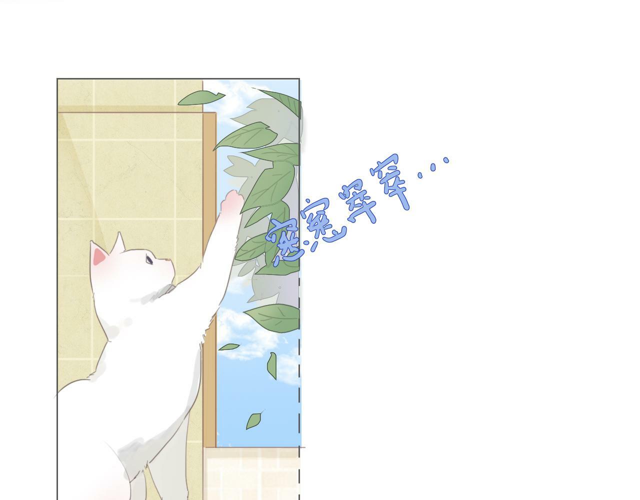 第二话  猫出没9