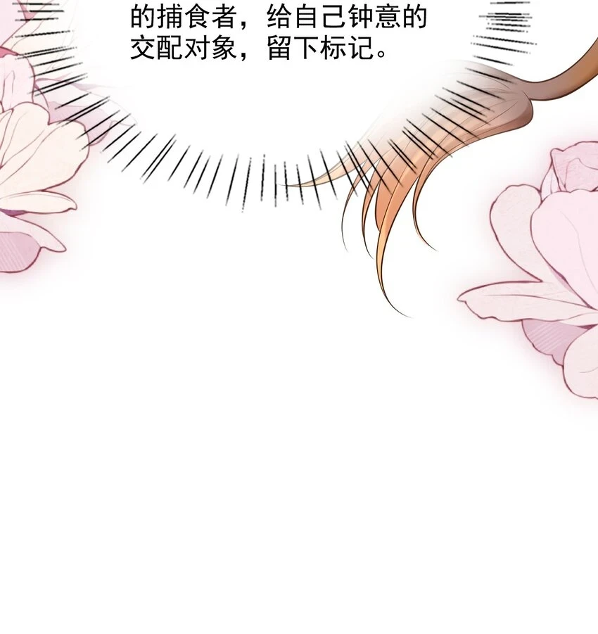 022 野性的味道6
