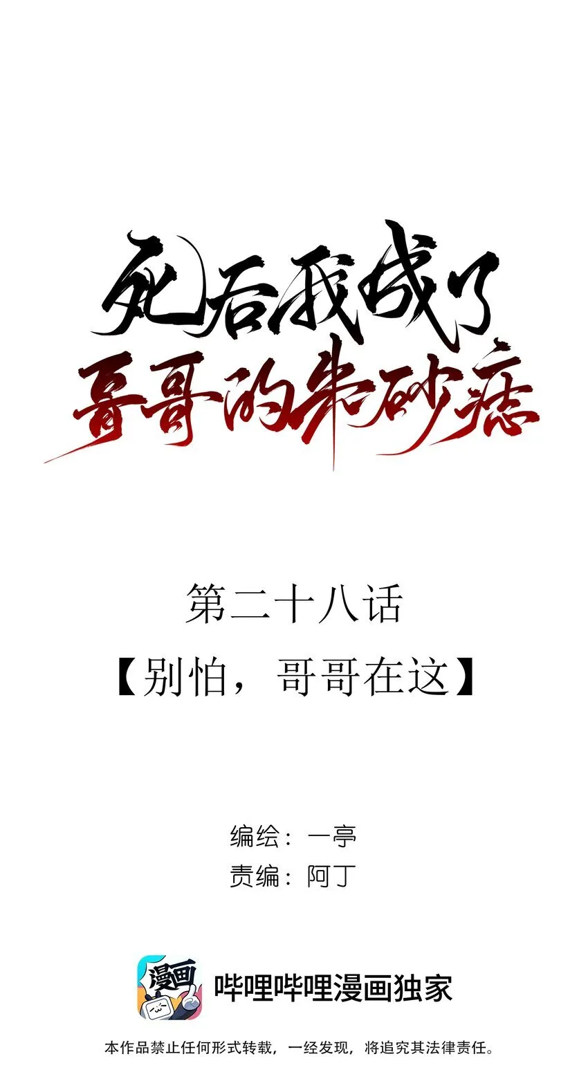 28 别怕，哥哥在这7