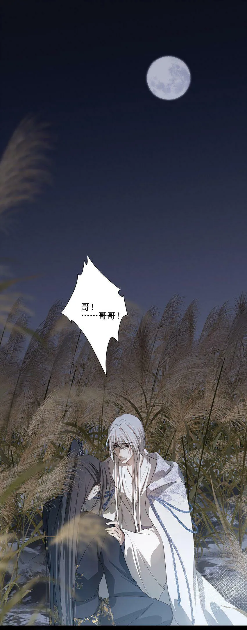 14 白术心意转变15