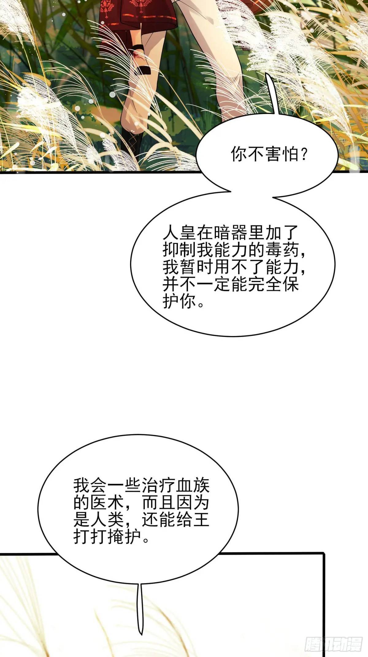 第26话：重点是这个吗13