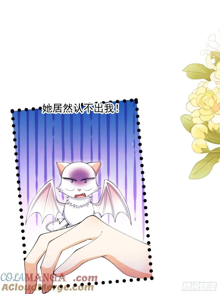 第67话：好久不见小蝙蝠26