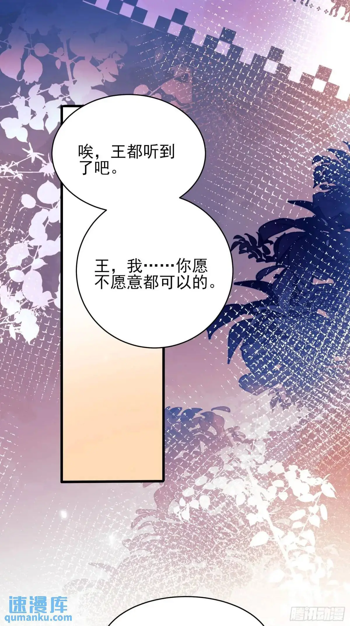 第45话：逗逗小猫咪37