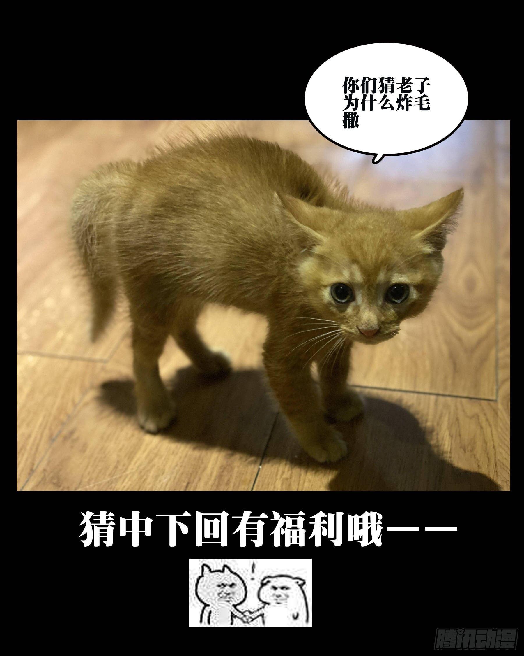 -第三十六回-穷途末路17