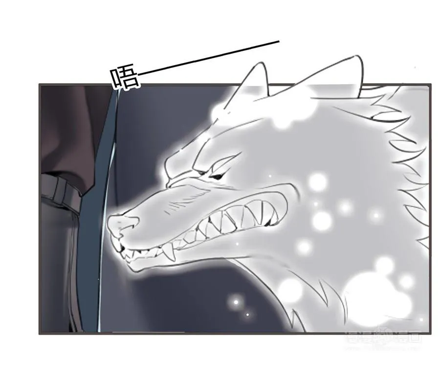 第41话 科莱的反击13