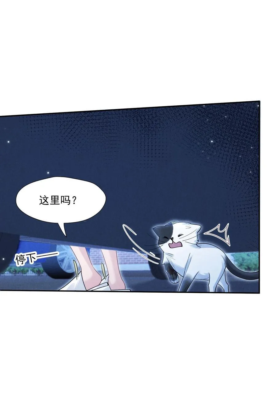 017 所谓真相46