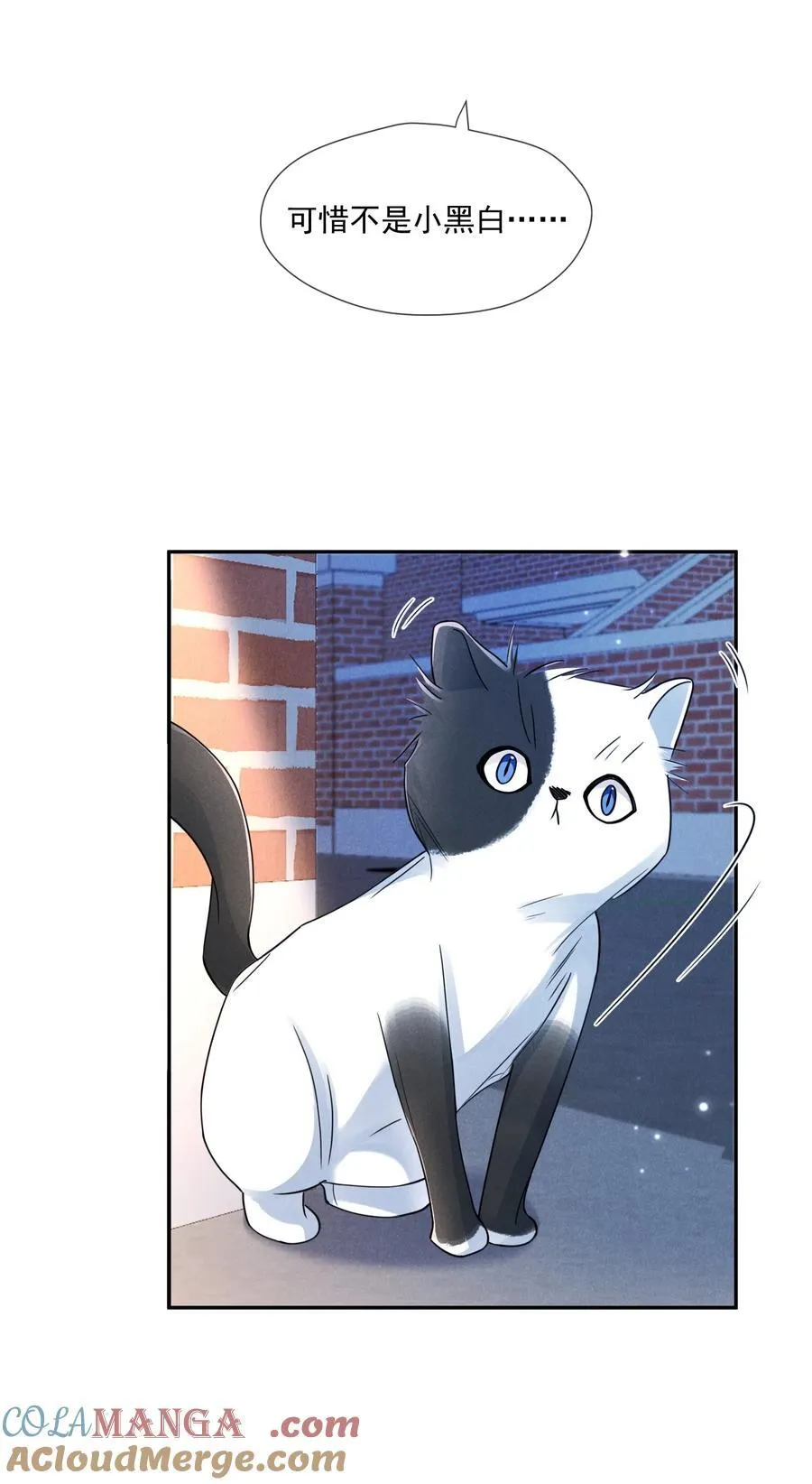 016 侦探36