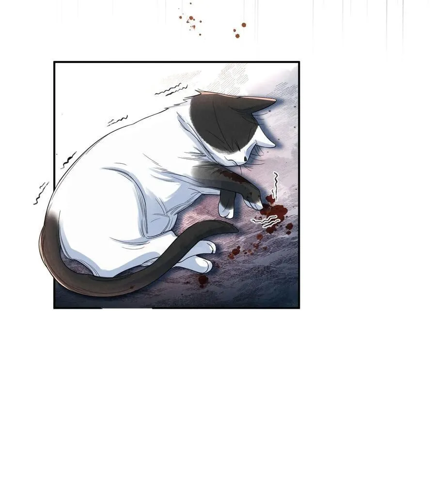 017 所谓真相28