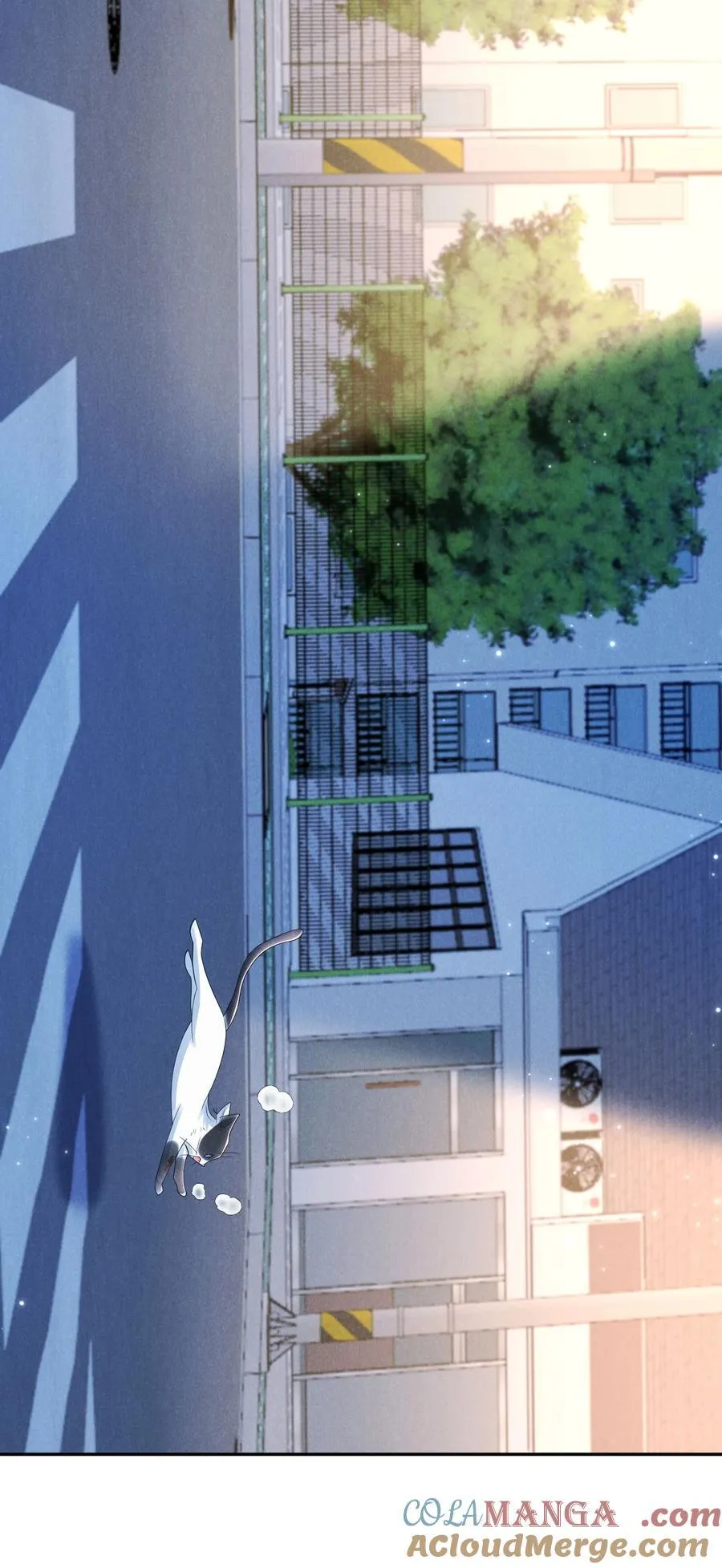 017 所谓真相36