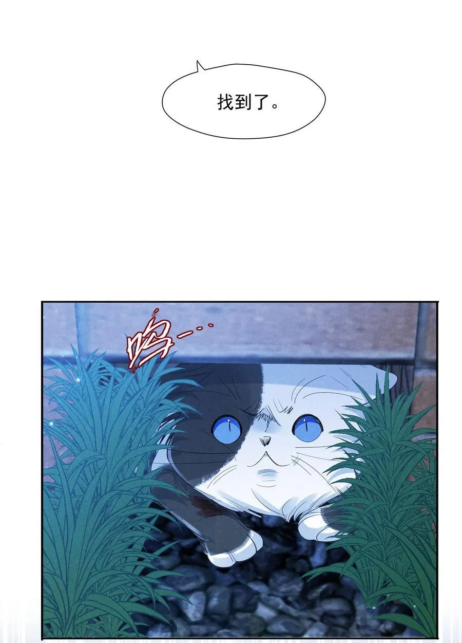 017 所谓真相64