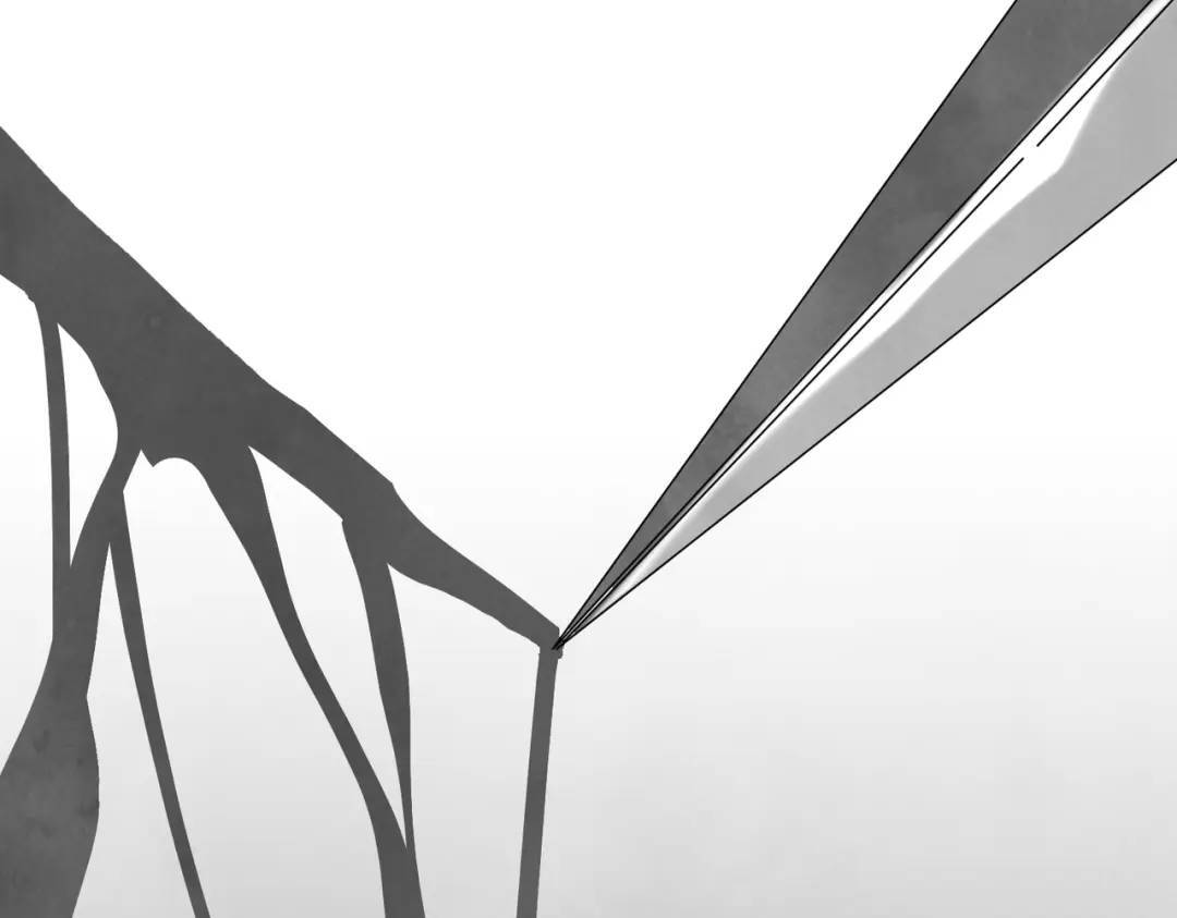 第36话 西域邪术55