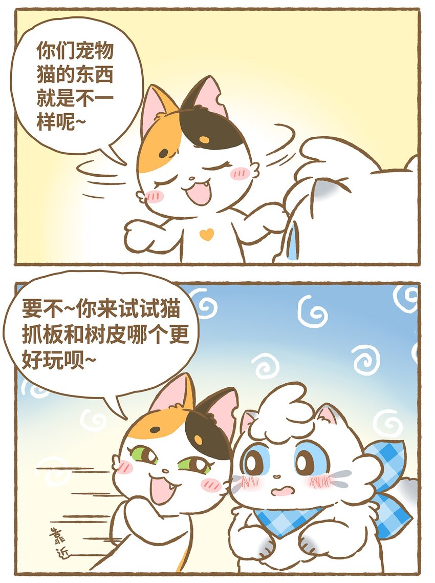 15 第15话5