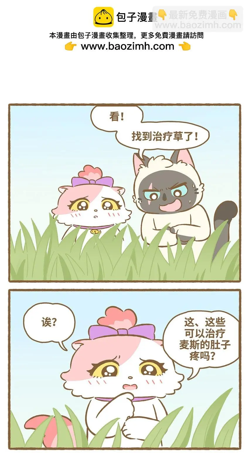 57 第57话 治疗草1