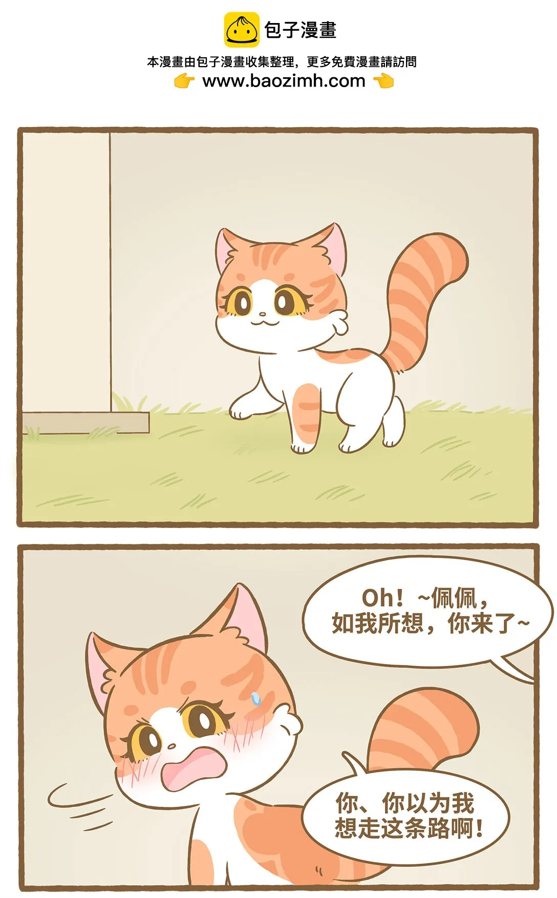 85 第85话 玫瑰1