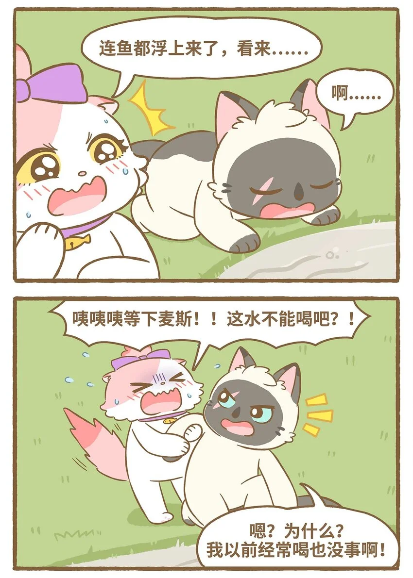55 第55话 喝水4