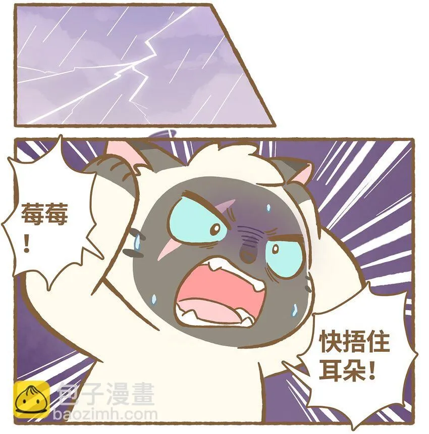 49 第49话 闪电6