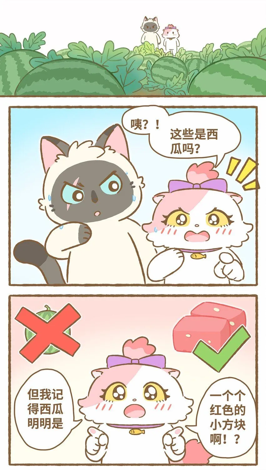 44 第44话 西瓜块VS西瓜汁2
