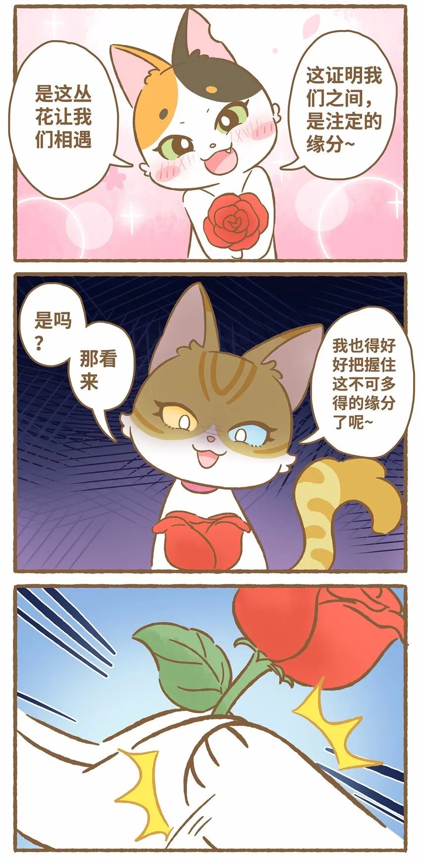 50 第50话 琪妙的相遇9