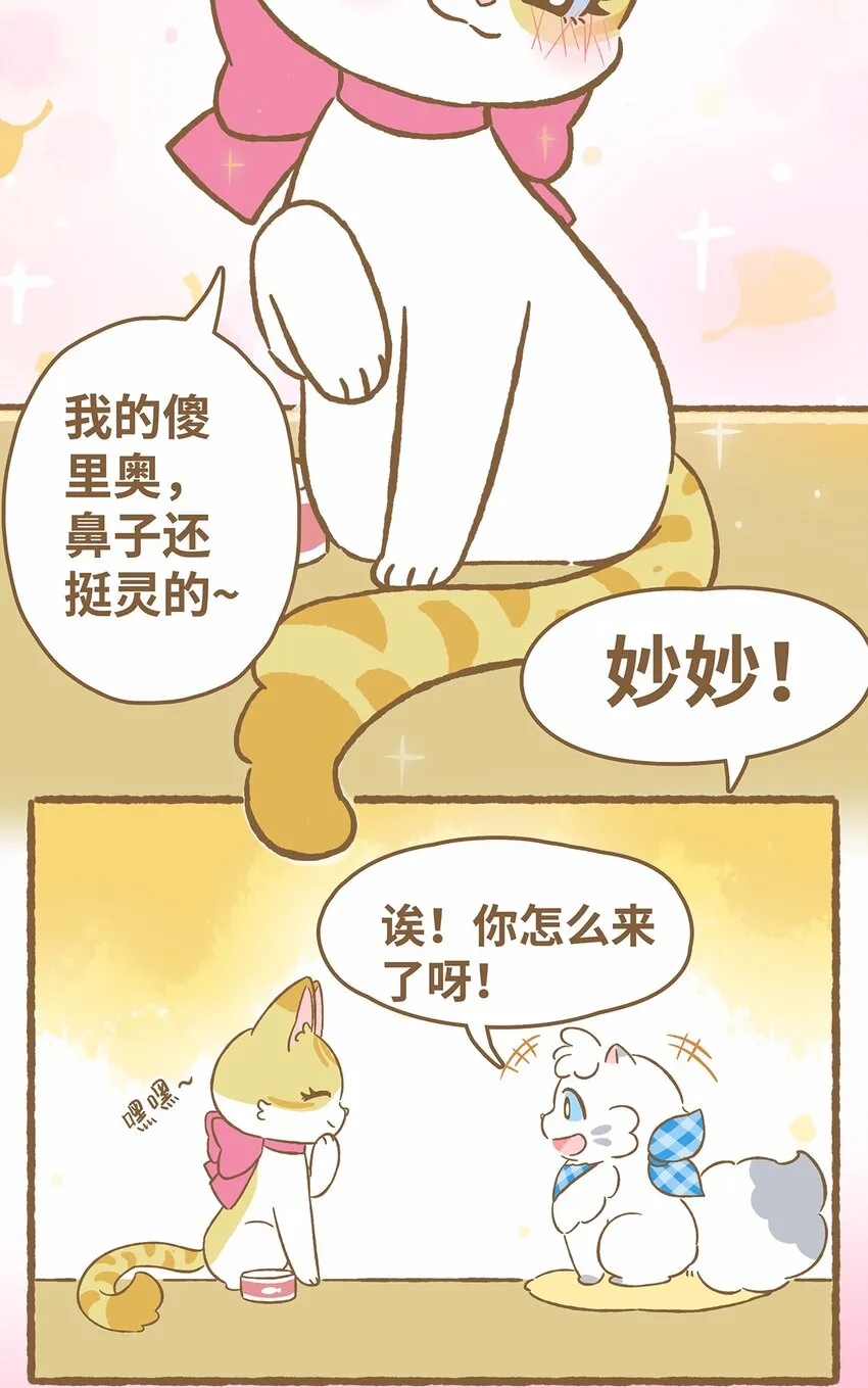 41 第41话 里奥的新朋友3