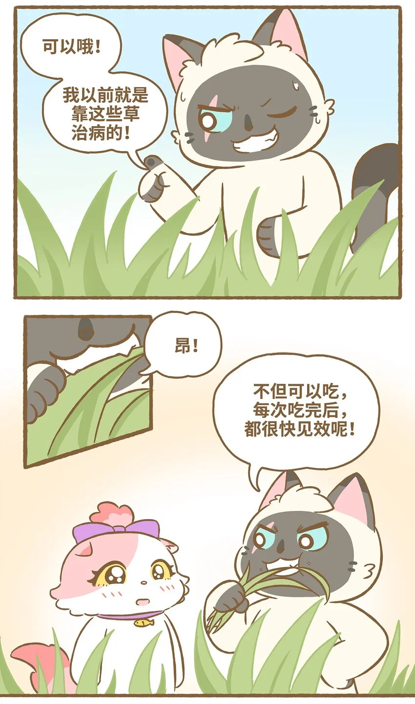57 第57话 治疗草2