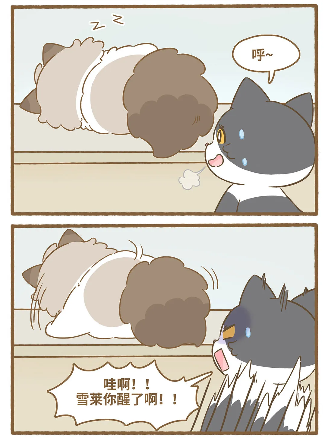 80 第80话 睡着的雪莱6