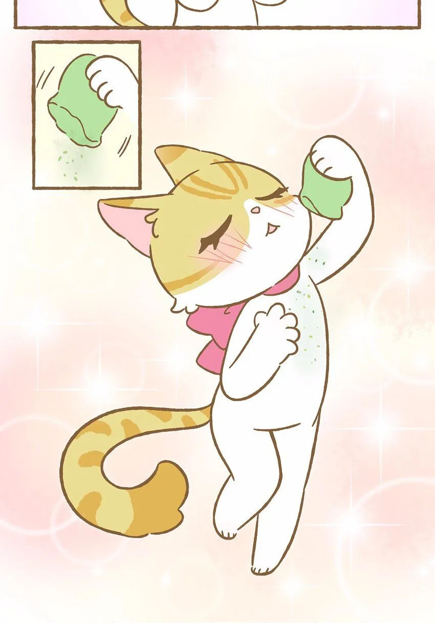 47 第47话 猫薄荷7