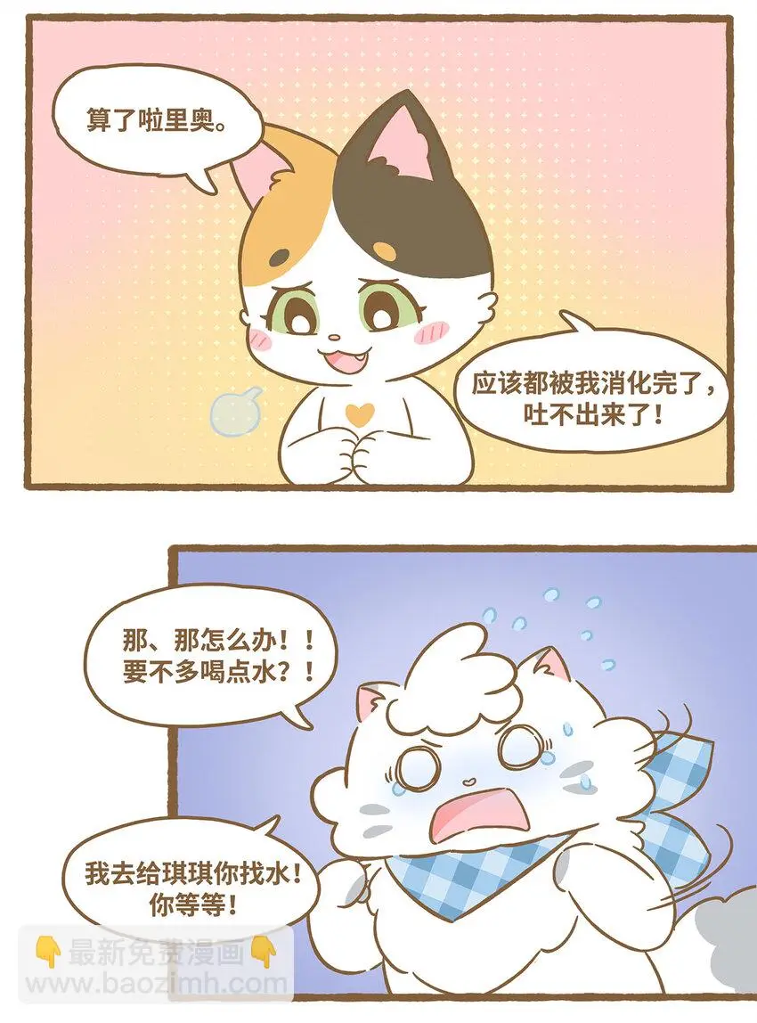 64 第64话 巧克力7