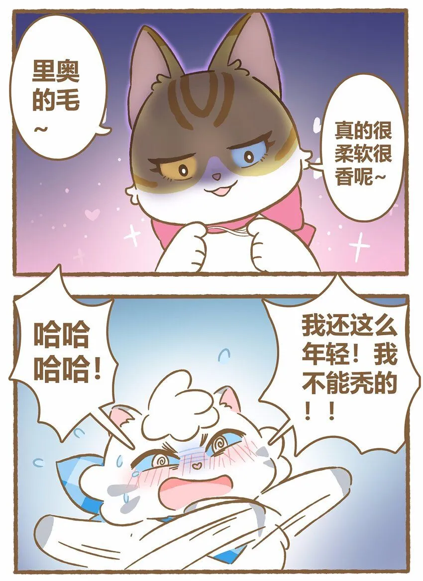 42 第42话 毛茸茸13