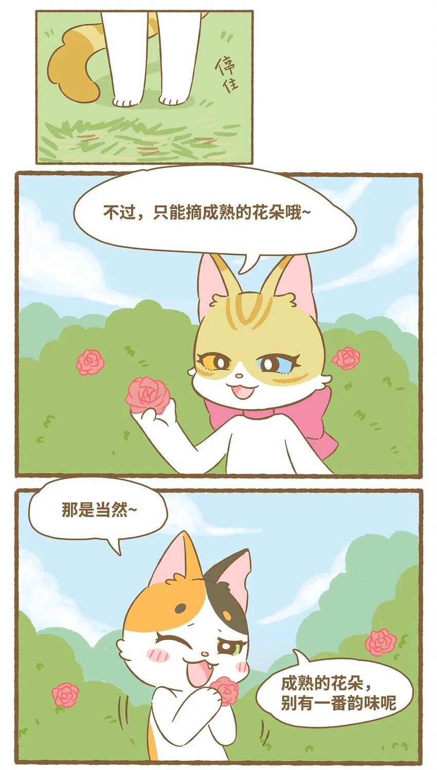 61 第61话 陷阱10