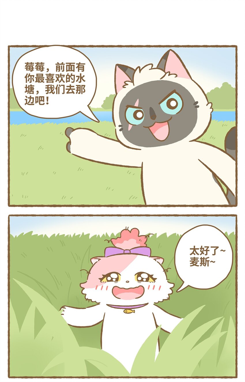 31 第31话1
