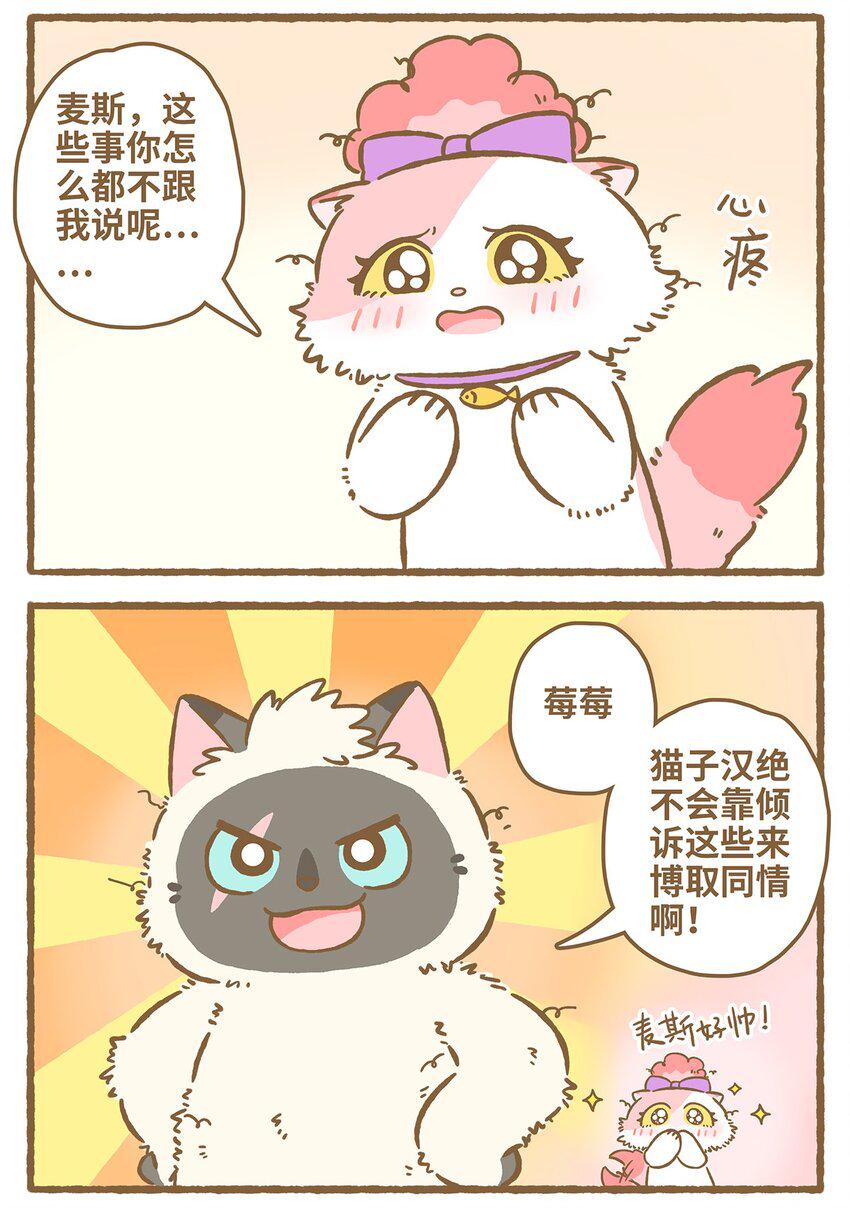 31 第31话14