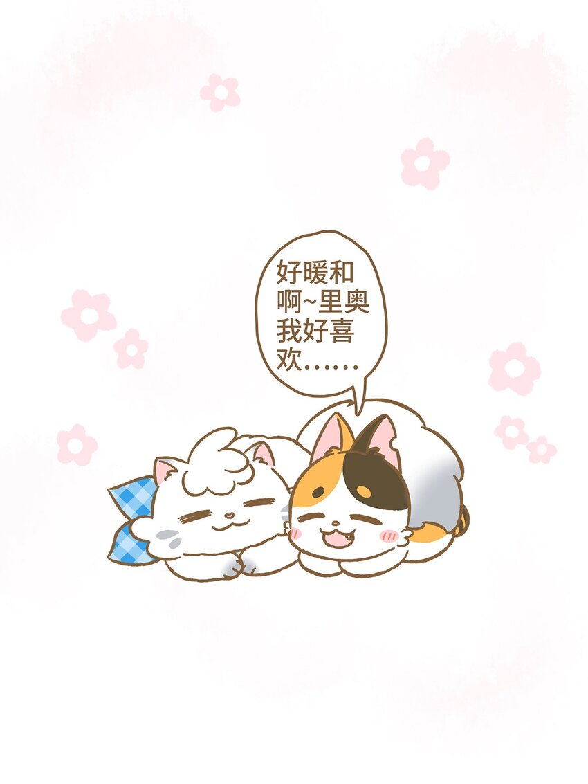 10 第10话15