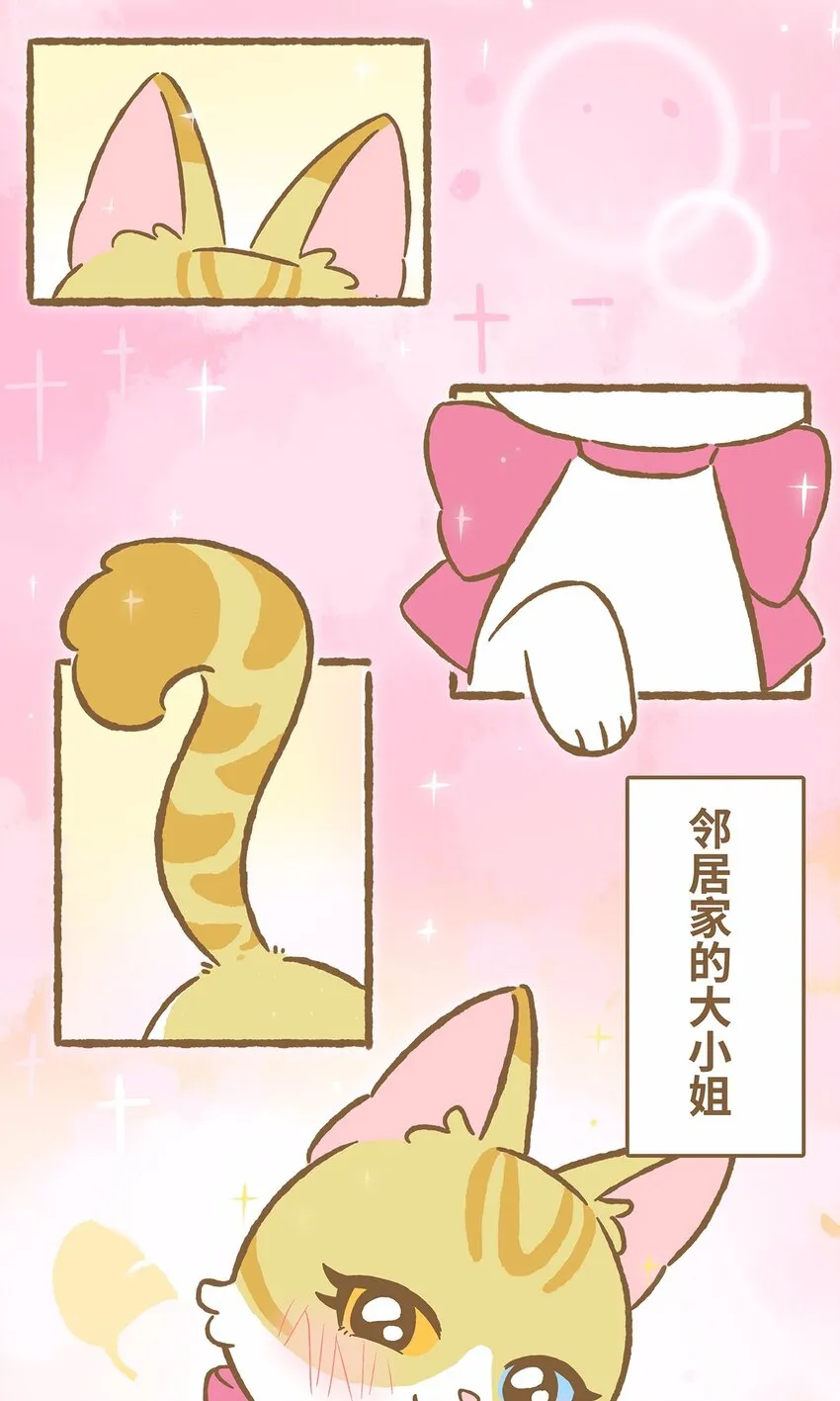 41 第41话 里奥的新朋友2