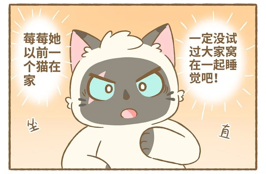 62 第62话 一起睡10