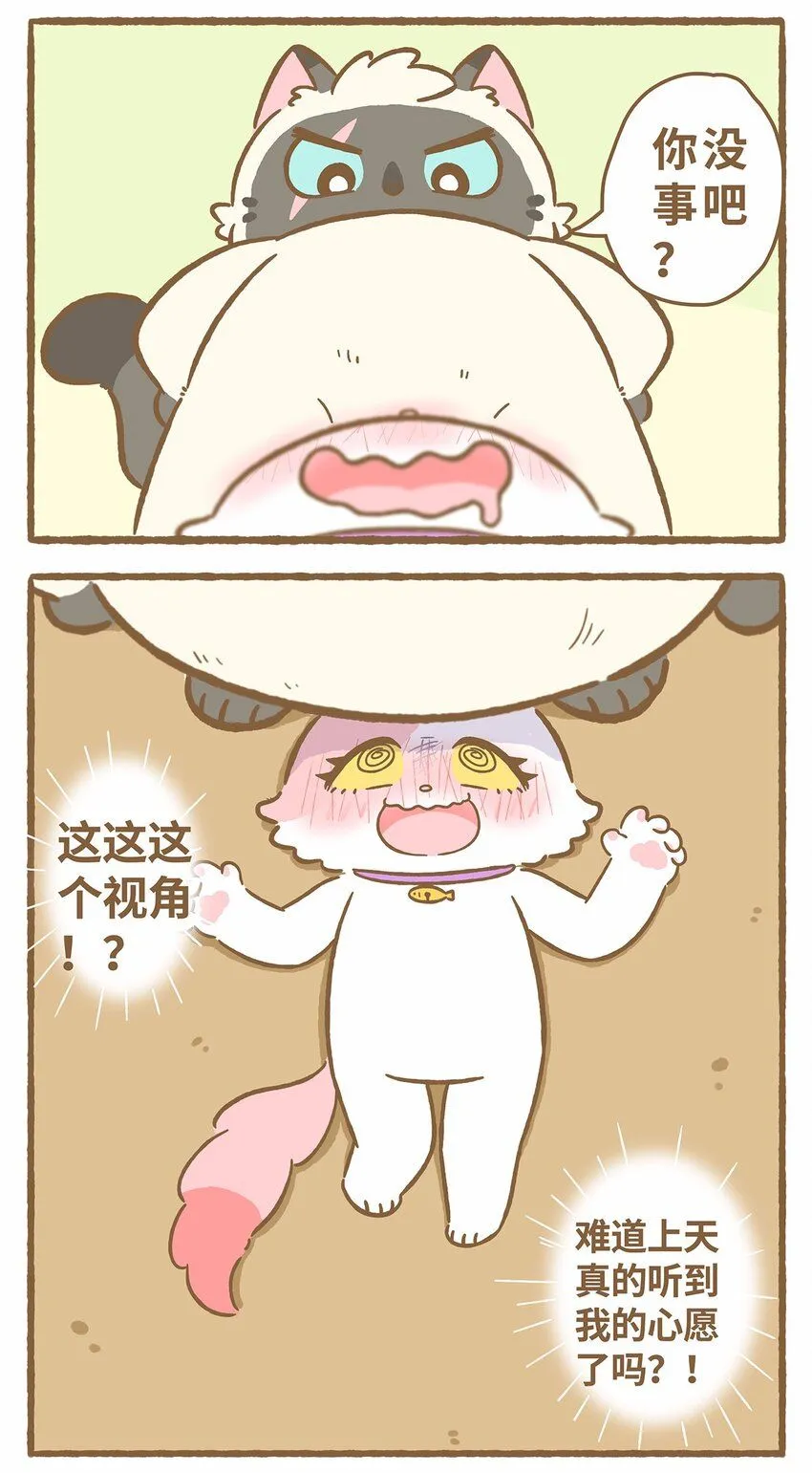 45 第45话 摔跤12