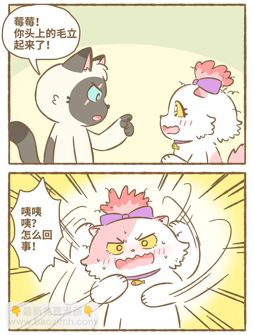 31 第31话2