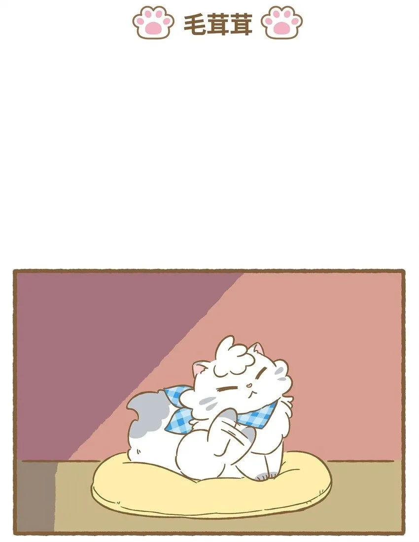 42 第42话 毛茸茸1