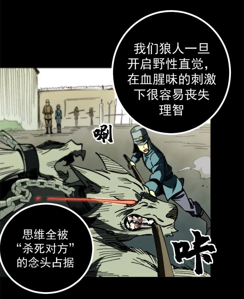 43 光杆司令33