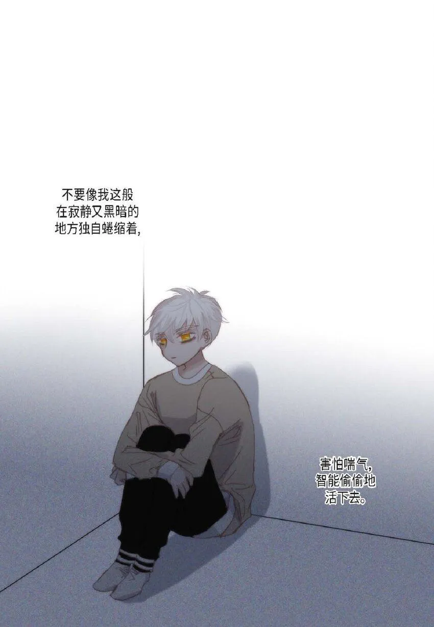 59 有宽敞草坪的大宅子21