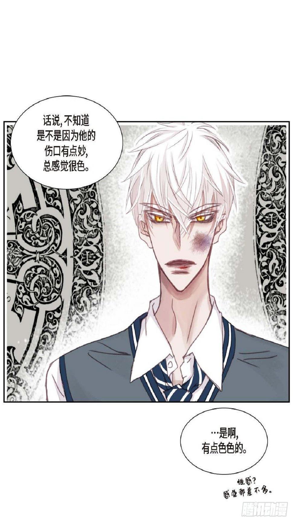 010.魔法单词（60P）10