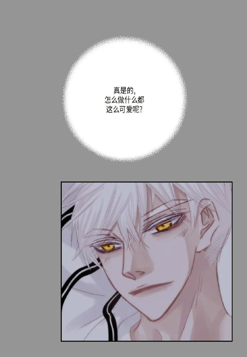 47 我才不会输！54