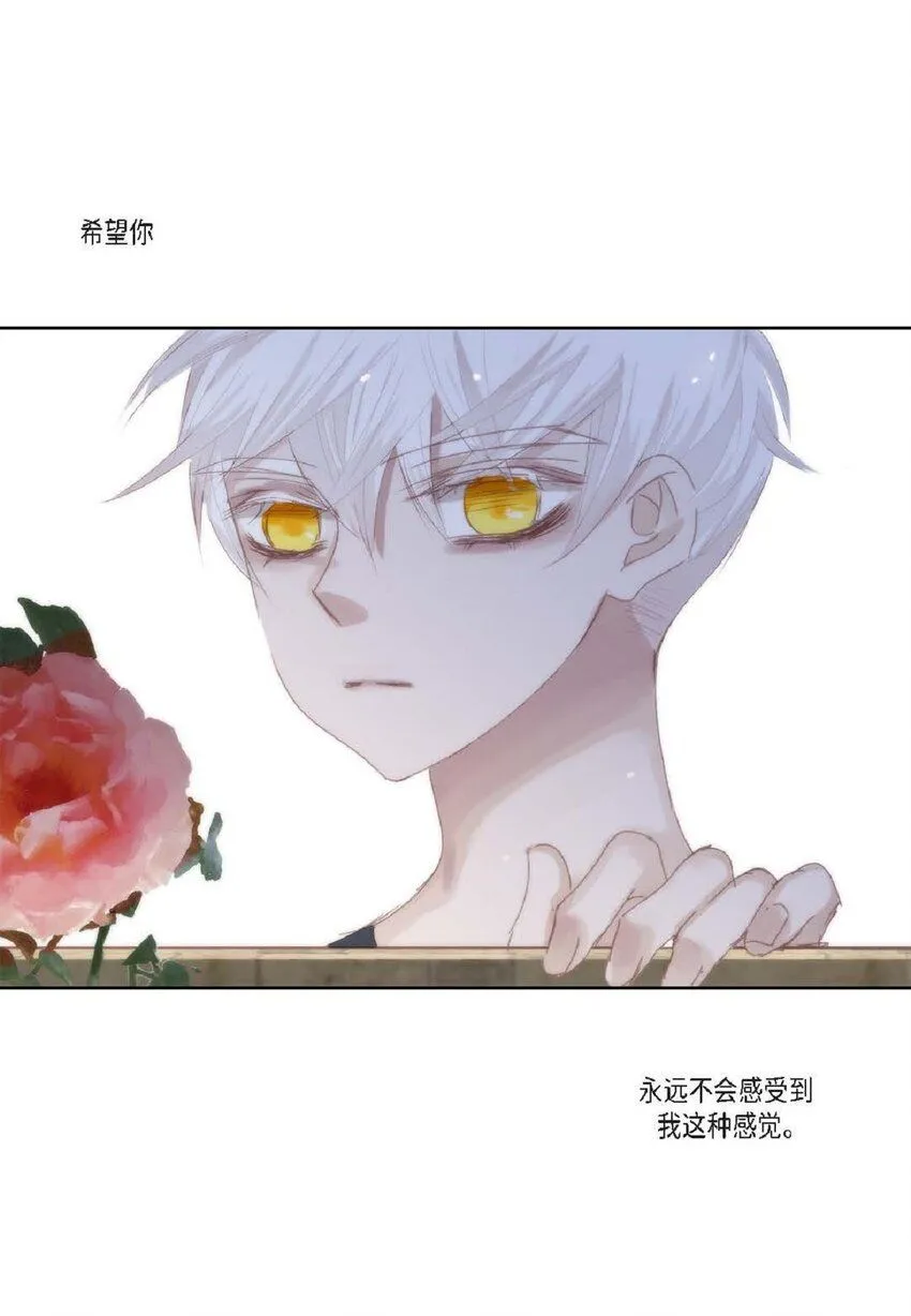 59 有宽敞草坪的大宅子20